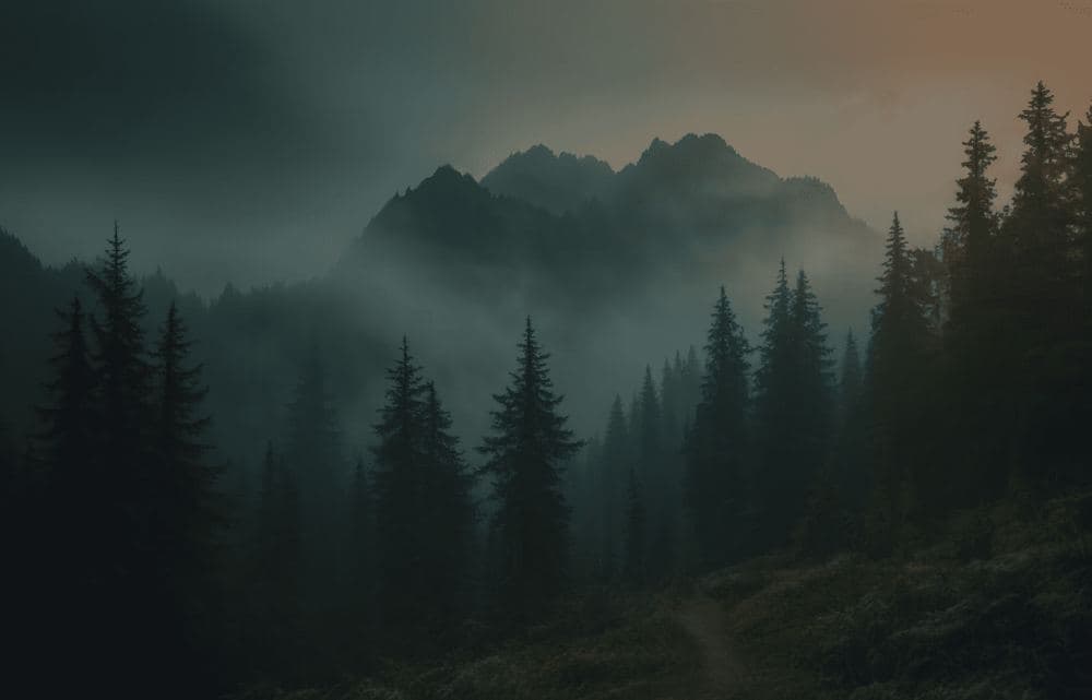 Misty forest and mountain ridges in the Pacific Northwest